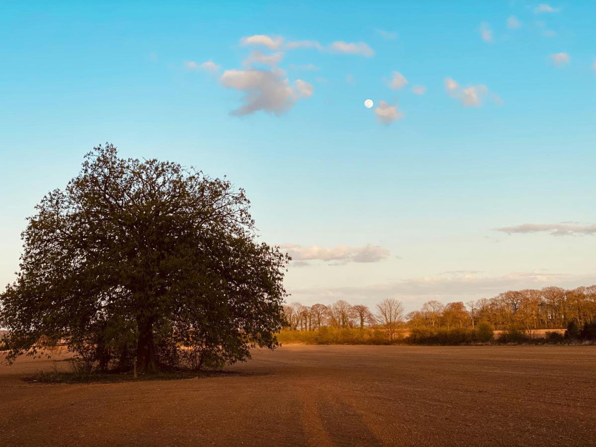 Wildes Inns Chesterfield Kültér fotó